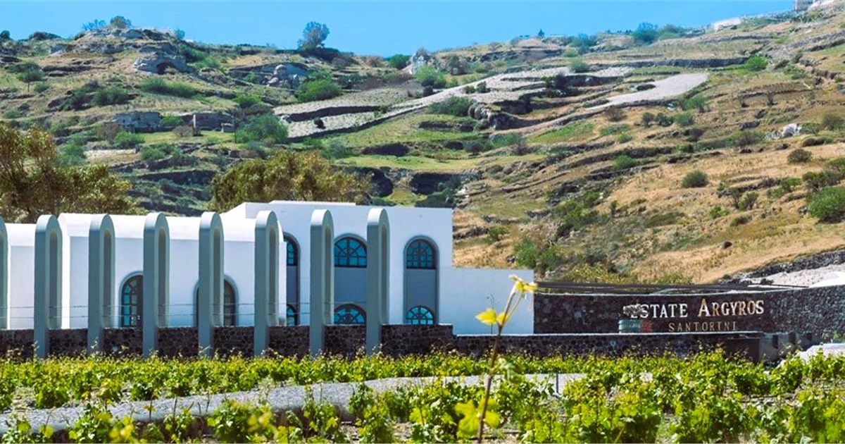 Santorini’s Wineries — A Journey Through Volcanic Flavours